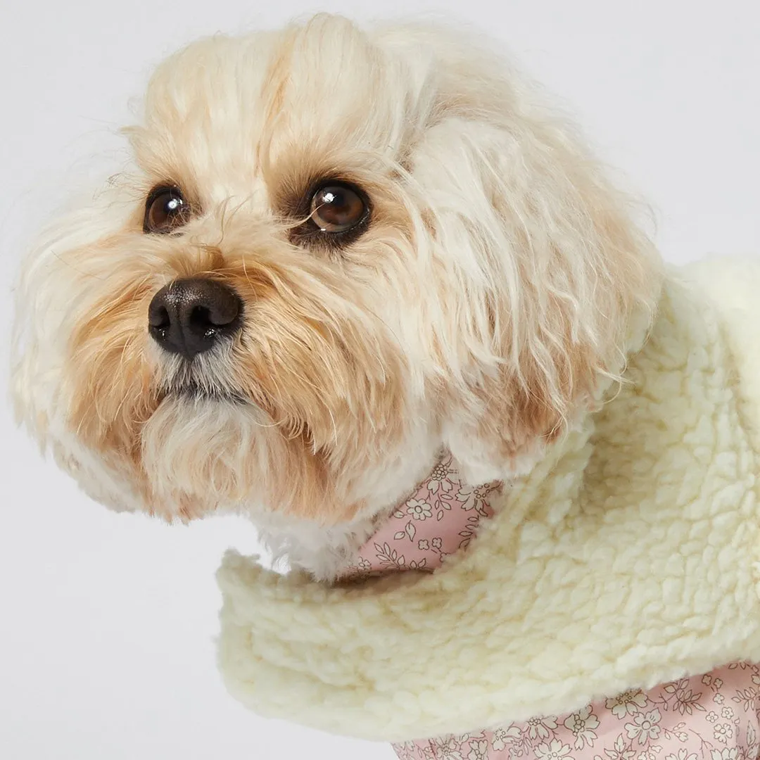 Teddy Dog Coat - Vanilla