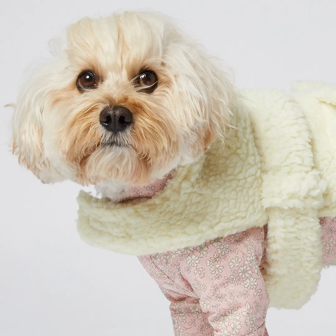Teddy Dog Coat - Vanilla